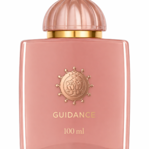 Guidance